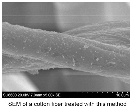 SEM image of homemade superhydrophobic fabric